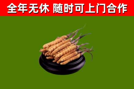 平江烟酒回收冬虫夏草.jpg